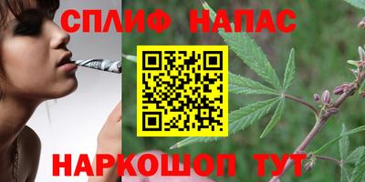 стафф Будённовск